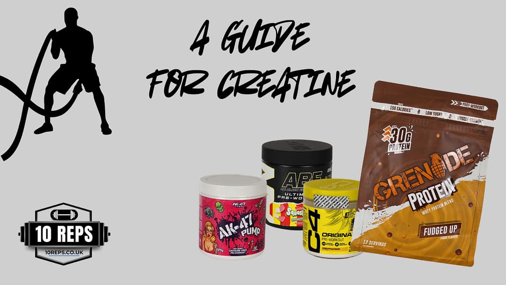 creatine guide